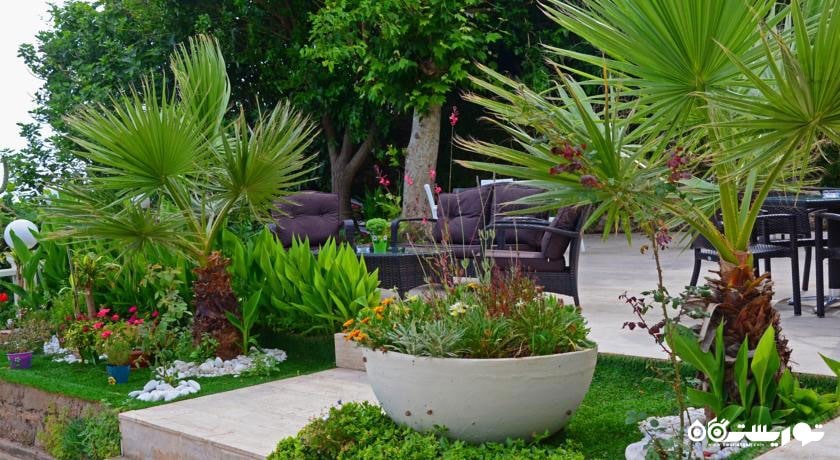 محوطه فضای سبز هتل